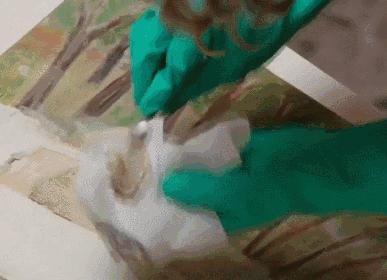 世纪*子骗**or艺术天才，中西造假高手同台pk，谁才是第一？