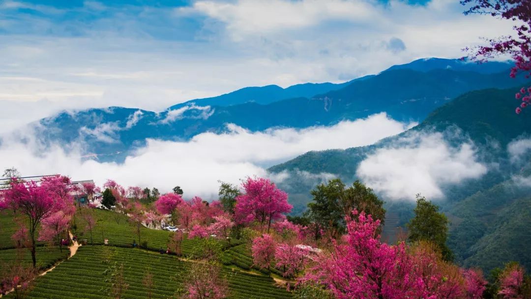 等一个人陪我去大理旅行,如果生活不如意不如一起去大理