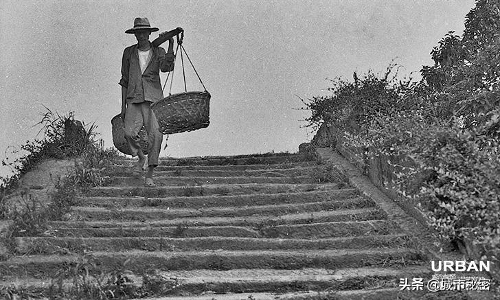 杭州东新·长浜路纪事，住在有魔幻感的理想生活中