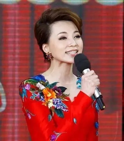 倪萍任鲁豫李思思撒贝宁马凡舒,倪萍李思思撒贝宁任鲁豫谈春晚