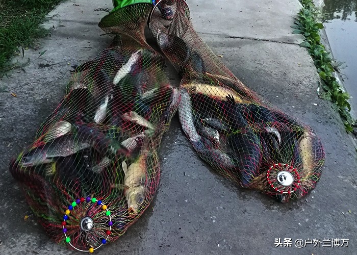 经常钓黑坑的人会怎么样,黑坑怎么做到钓不上鱼呢