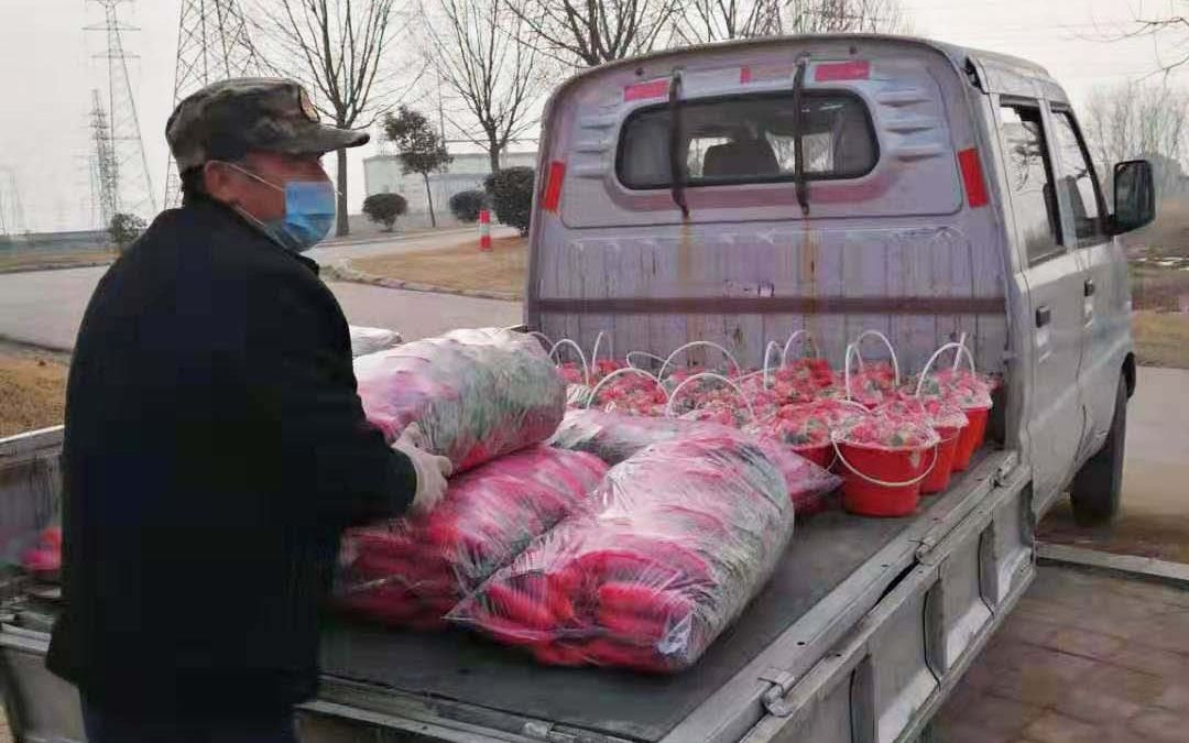 莒南县送菜上门,送蔬菜水果上门