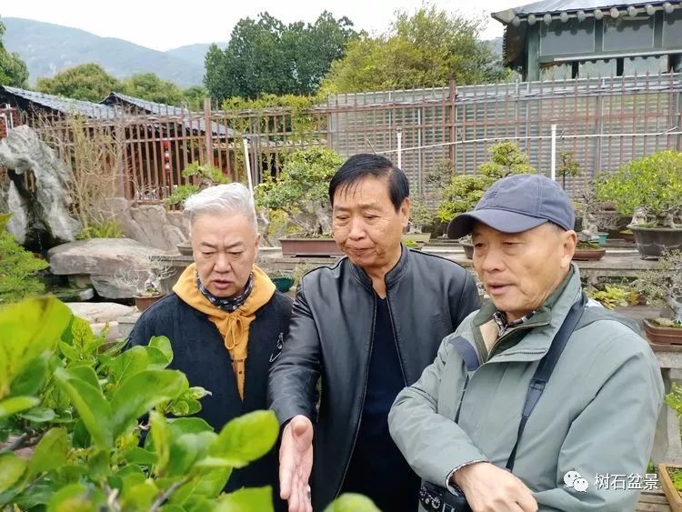 伟大使命复兴中国盆景艺术事业——2019中盆会大事回顾(下篇)