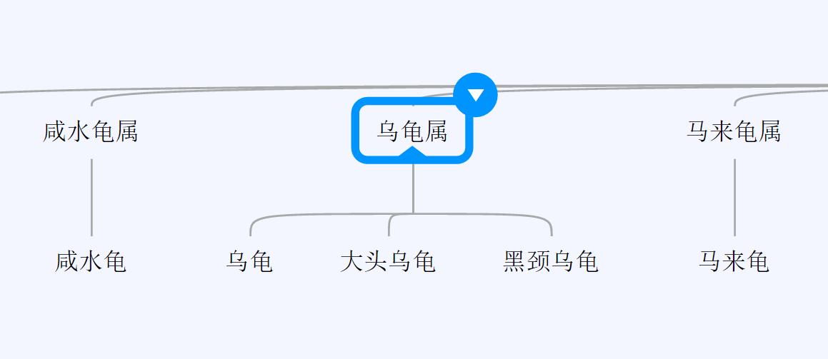 篆书百龟图图片大全,百龟高清图片大全