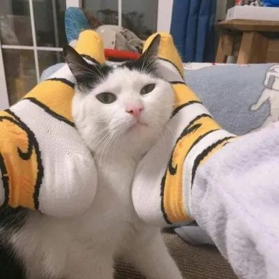 男生会用什么理由亲女朋友,男生为什么想要亲女朋友