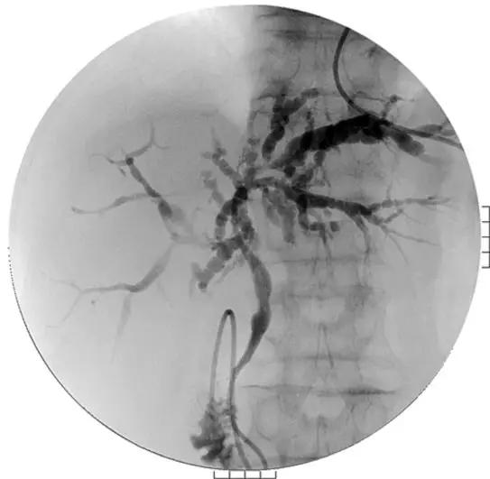 ps所有疑难杂症,ps疑难杂症