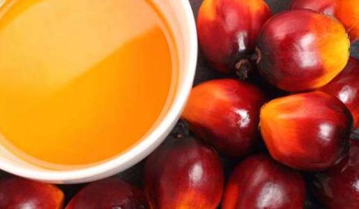 最好的奶粉是哪一个牌子,2020年进口成人奶粉排行十大品牌