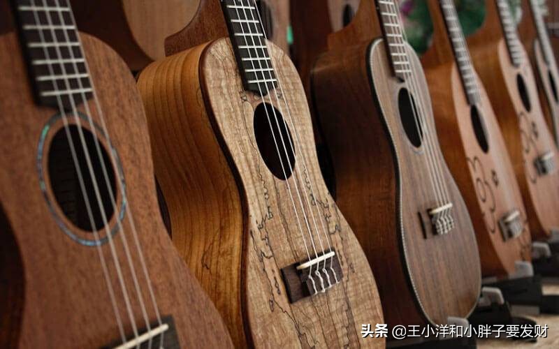 怎样选一把好的尤克里里,十大入门级尤克里里推荐