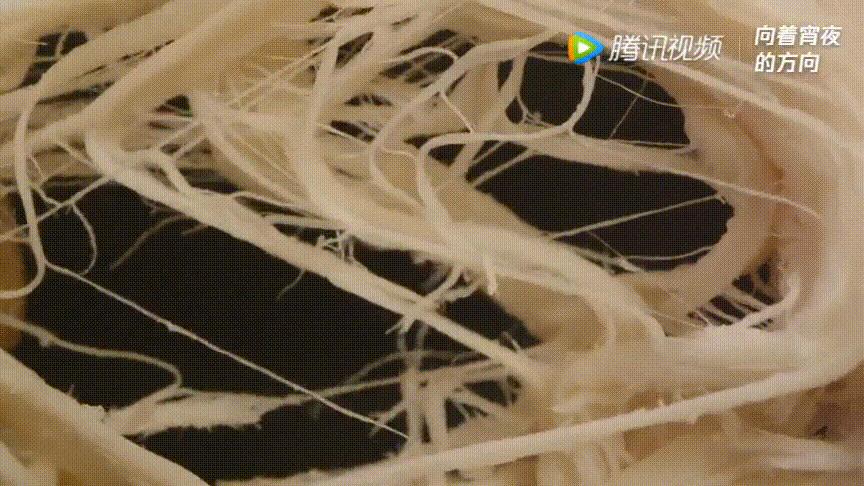 福建宵夜图鉴,上海宵夜图鉴大全