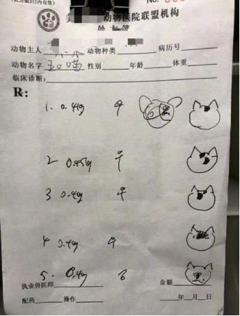 鐟炴淳瀹犲尰,鐟炴淳瀹犵埍瀹犵墿鍖婚櫌