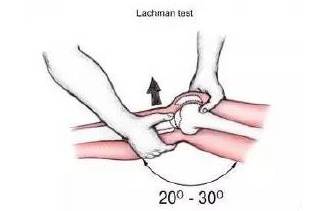 康复界名言,康复就是治愈疾病这个说法正确吗