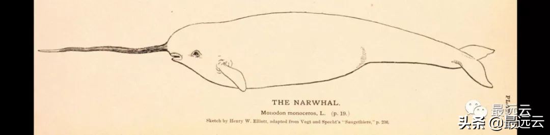 天山南北水怪谜团,水怪真实存在的未解之谜