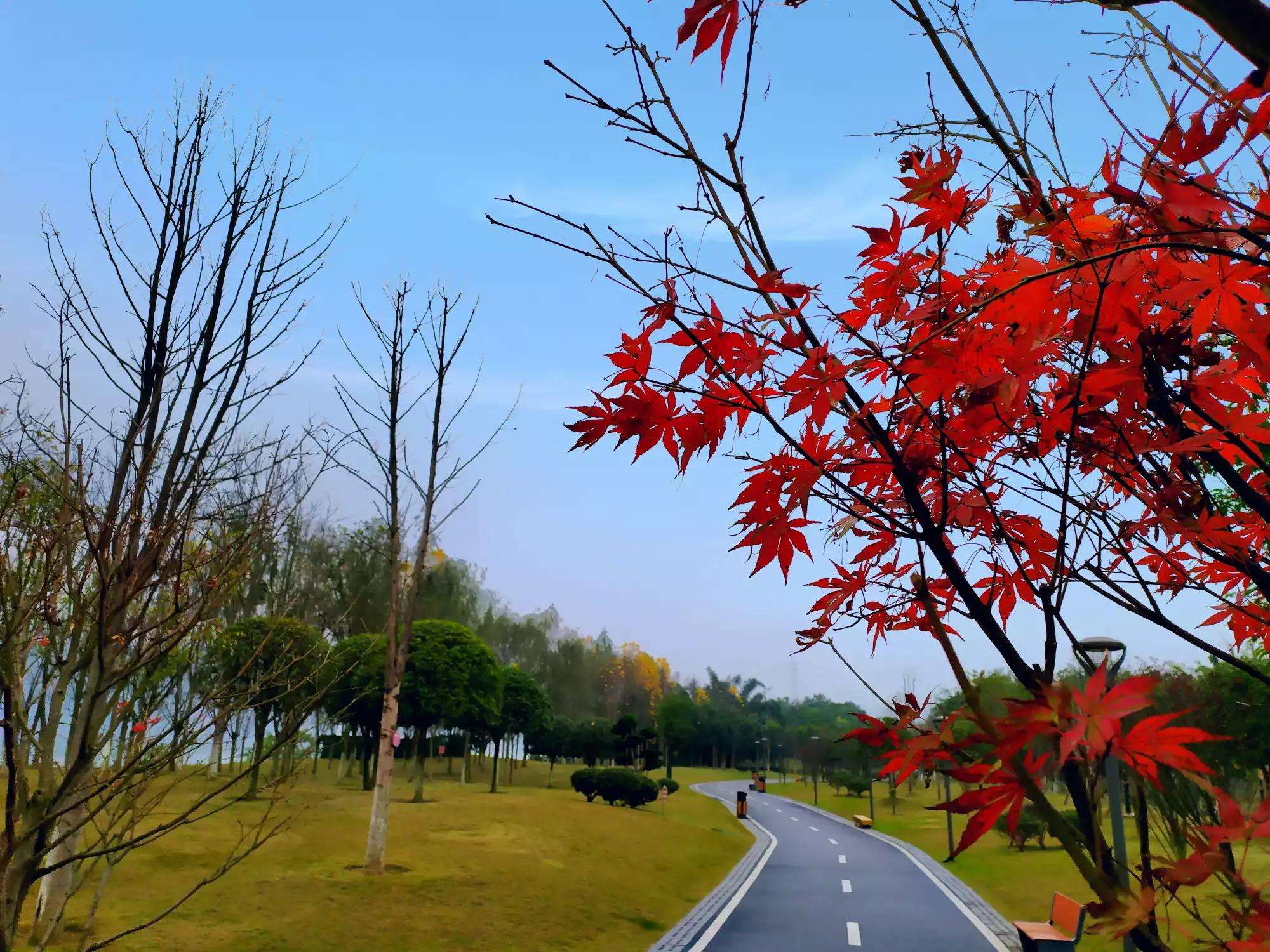 快速止痒且不含激素的软膏,激素软膏强弱排名