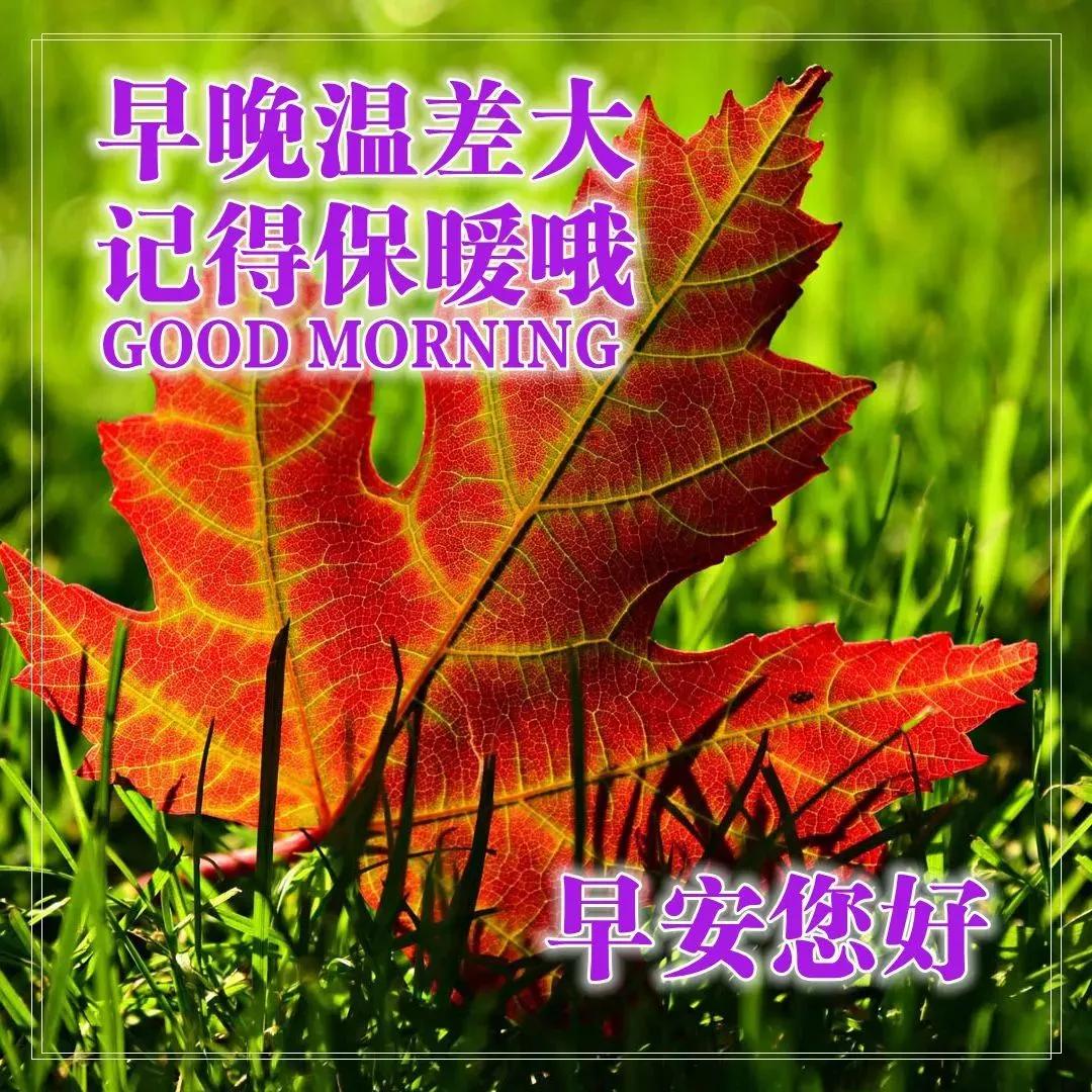 早上好表情图片带字早上好问候语,早上好祝福问候语大全简短图片
