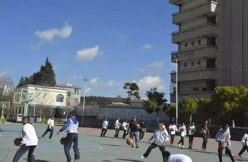 好消息昆明7个公园免费开放,昆明市好消息