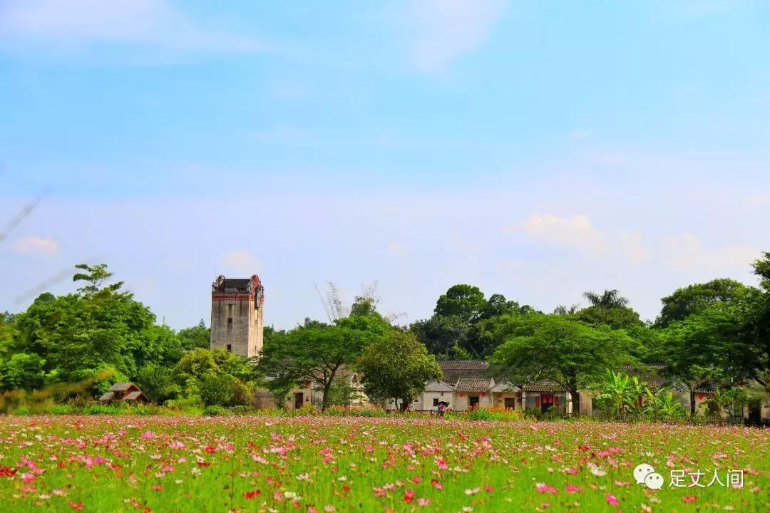 观澜版画村,观澜版画村生态艺术研学基地