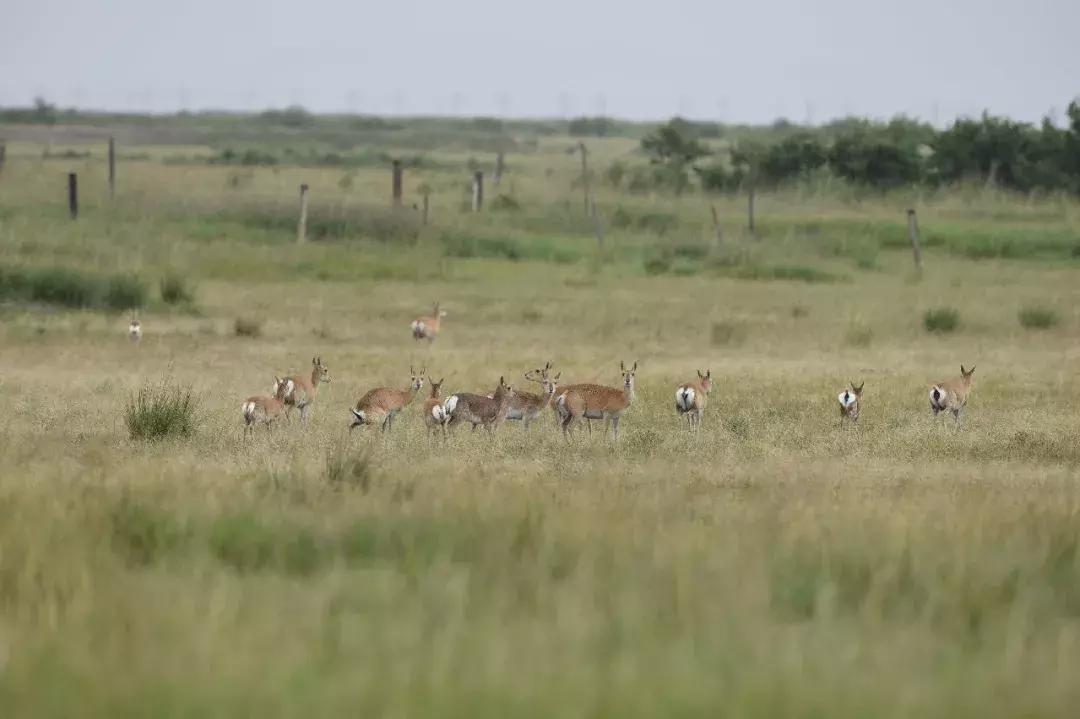 只有亲身经历才能体会艰难的诗句,只有亲身经历才能体会到的辛酸