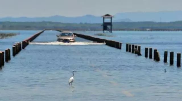 庐山滕王阁一日游最佳路线,江西到河北旅游团