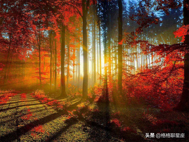 2022年桃花满天飞的星座,粉红泡泡的星座