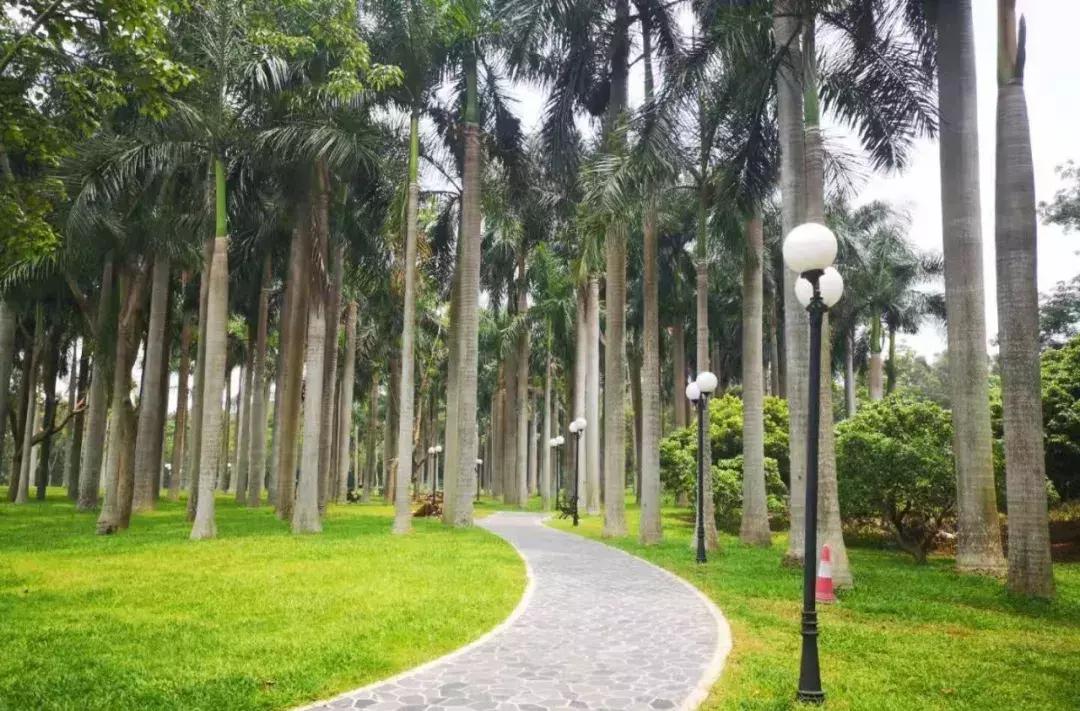 深圳莲花山看深圳风景,深圳莲花山有什么特别的地方