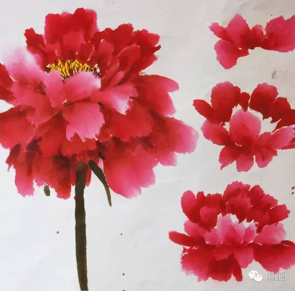 张克申写意牡丹画法教程,邵丹写意牡丹各阶段画法