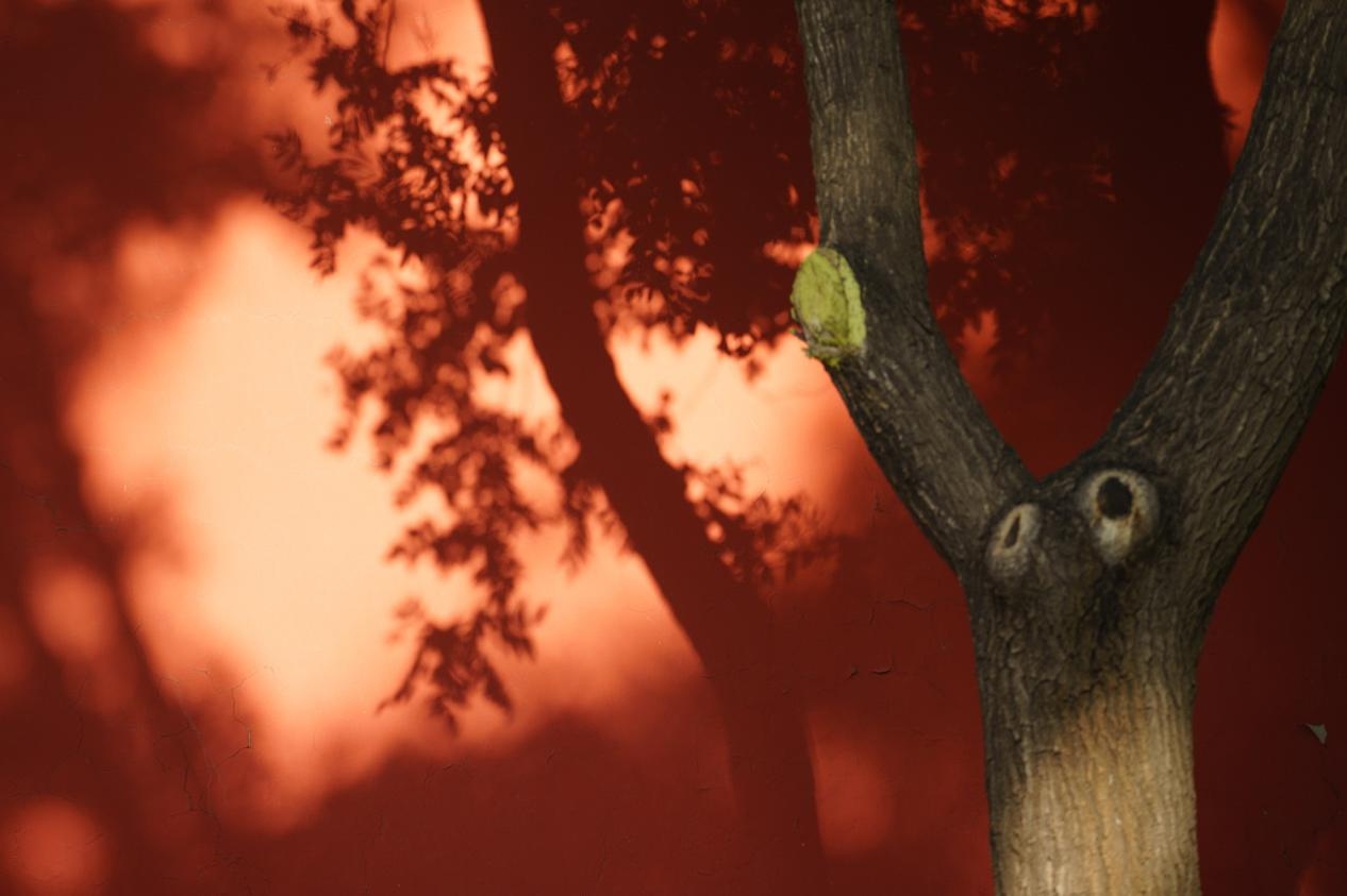 无反全能镜头,适马400mmf5.6测评