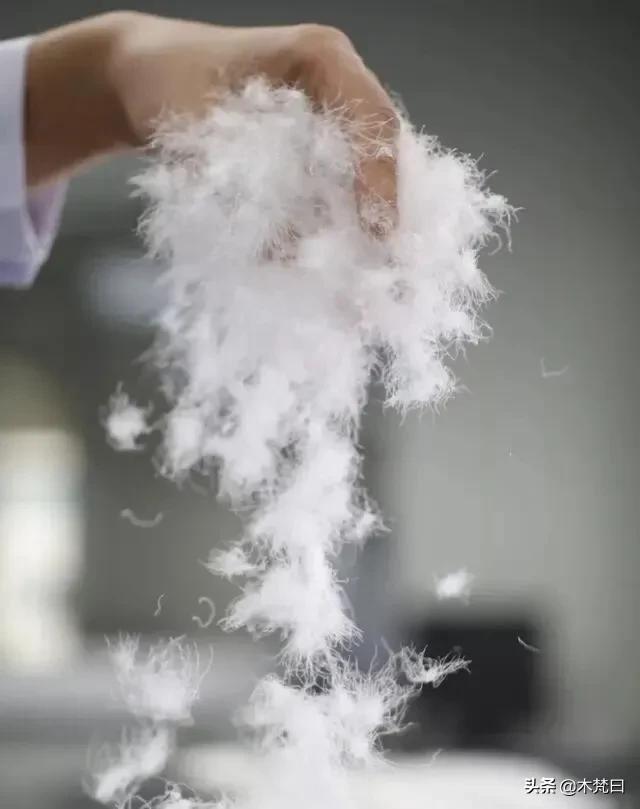 羽绒服谁都有，“懂买”羽绒服没几个，怎么选才能既保暖又时髦