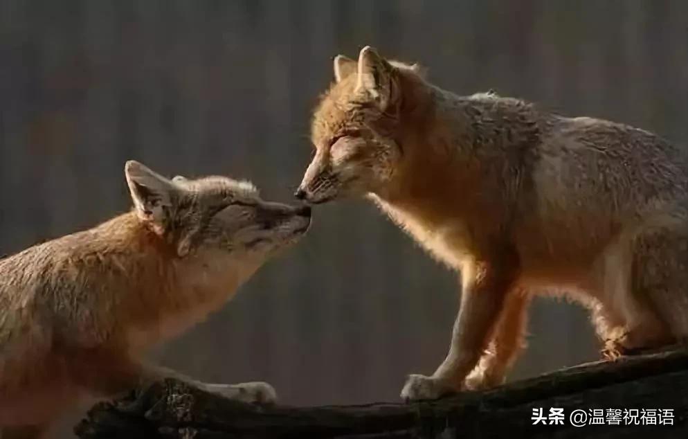 今天3月10，我的妈呀！谁编的，太好笑了，给群里乐一乐