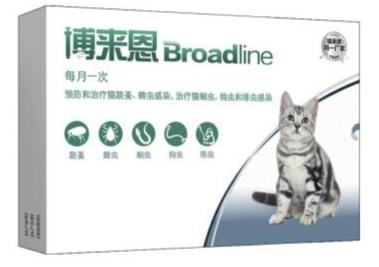 猫咪体内驱虫和体外驱虫能一起吗,猫咪体外驱虫为什么要禁食