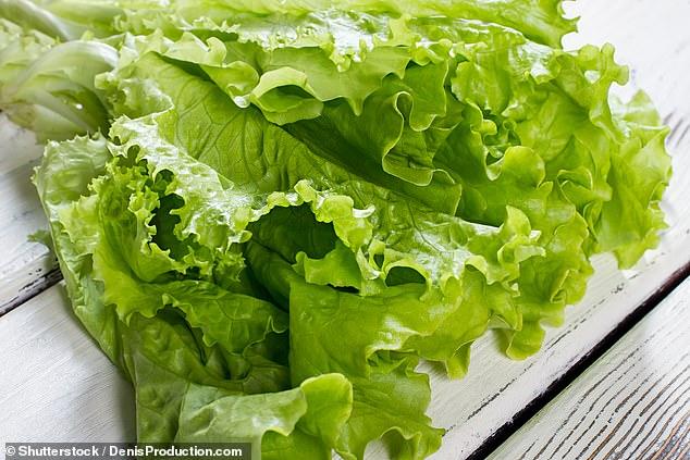 牛油果吃不下去,牛油果吃不完保鲜方法