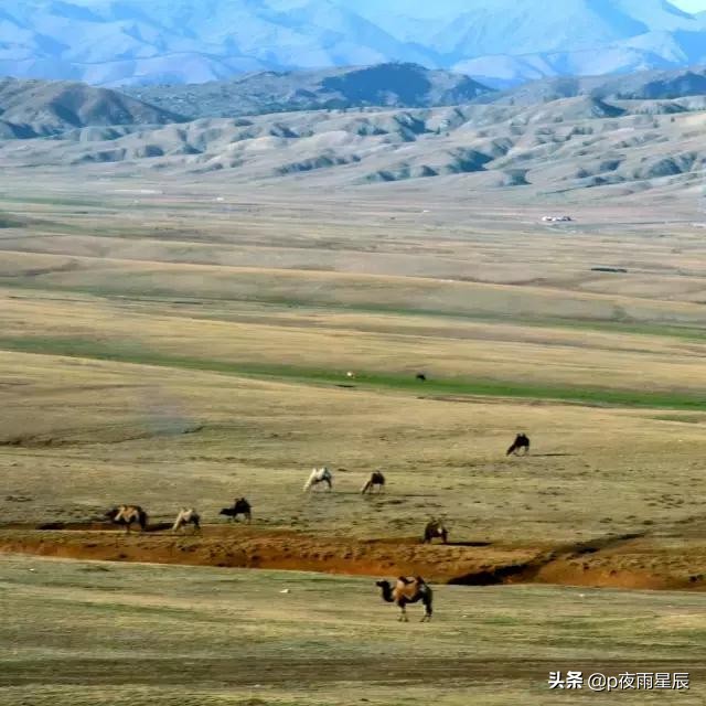 照片去雾变清晰,照片去朦胧感