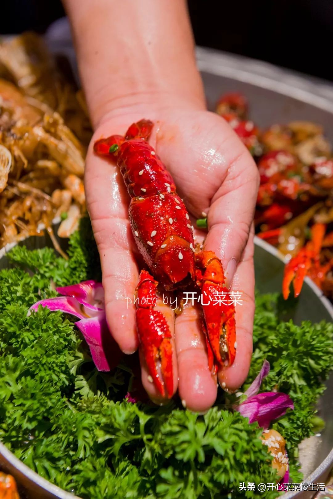 广州恒大不敌日本保级队,恒大足球输球记录