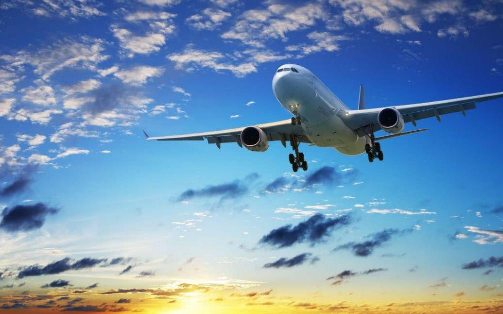 到底是鸟撞飞机还是飞机撞鸟,鸟撞飞机到底有多可怕