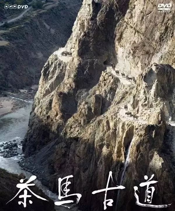 关于茶文化的经典影视剧,与茶相关电视剧