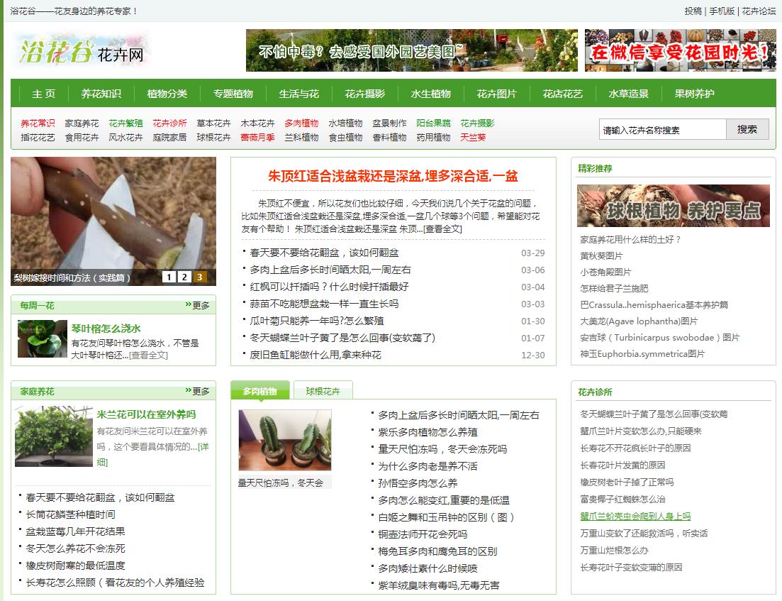 花儿为啥这样红,花儿为什么这样红科普小视频