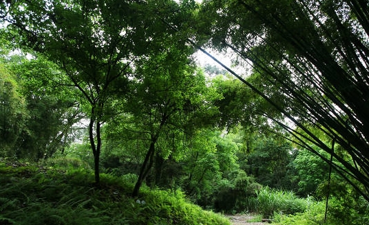 武夷山的风景名胜,武夷山旅游风景度假区