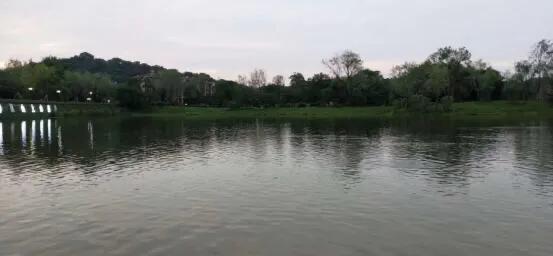 长文高清组图：武汉山湖岛居别墅楼盘-玉金山墅测评（上）