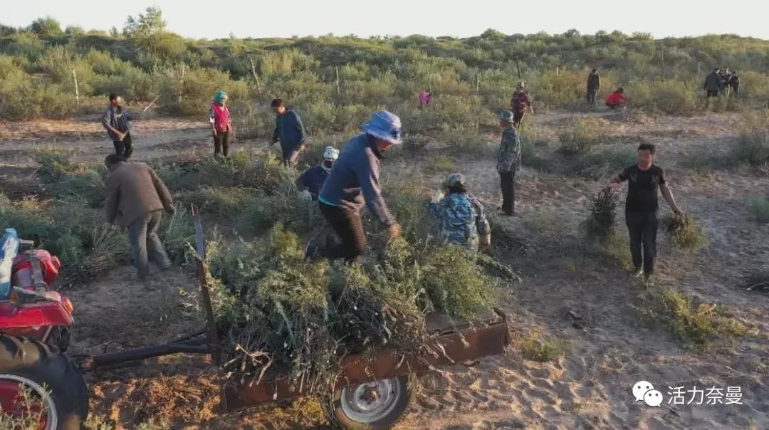 奈曼扶贫一点通,奈曼百企帮百村扶贫