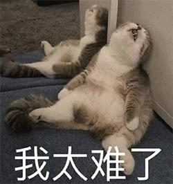 word里的页眉横线如何去除,word2019中为什么没有页眉横线