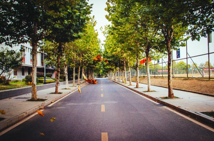 学子圆梦大学,要好好努力实现本科梦