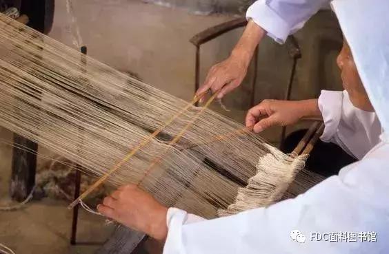 能用来制作面料的植物知多少？（下）