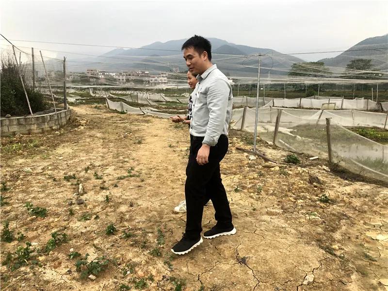 根竹镇新民村委名单,贵港市港北区根竹镇新民村