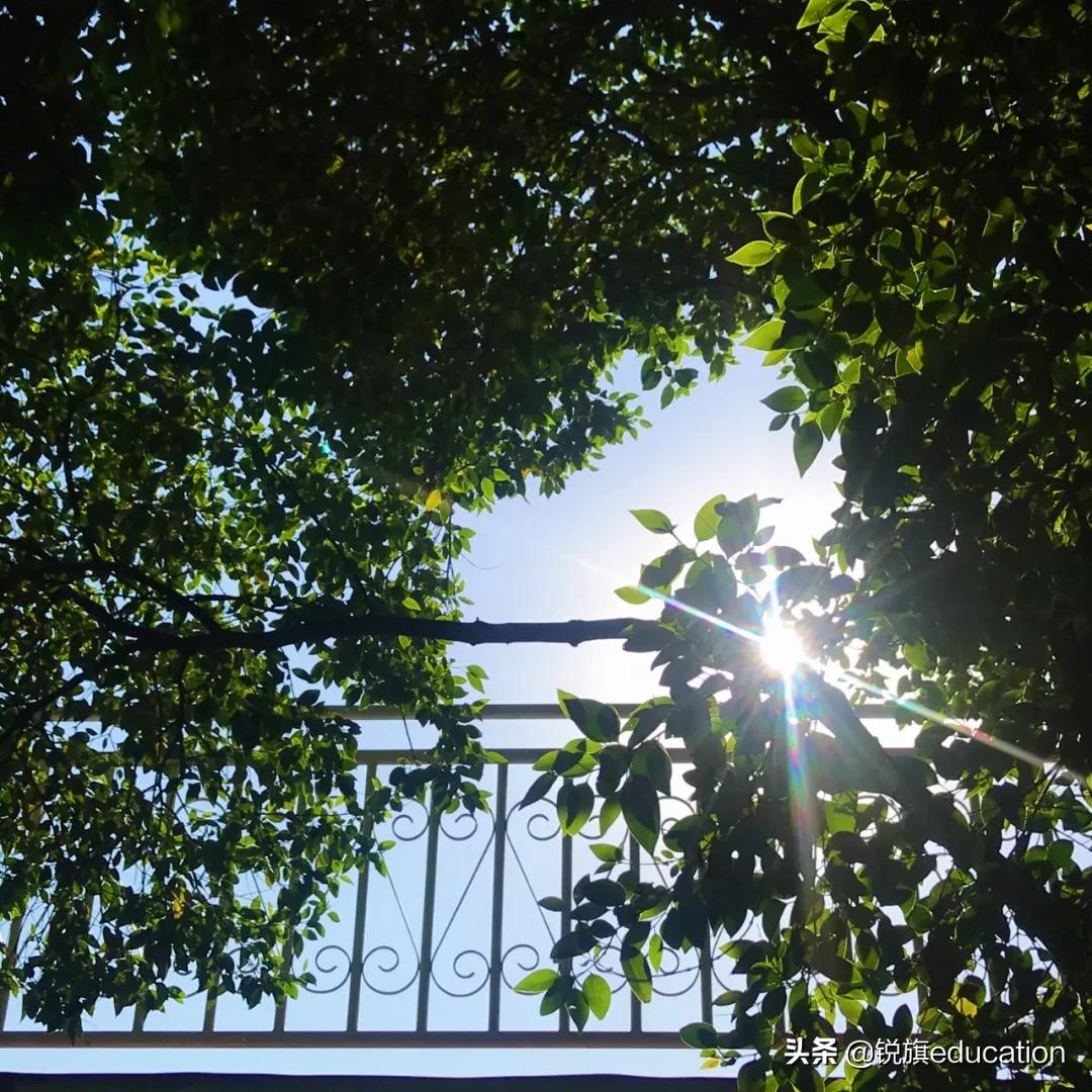 河南郑州建业外国语中学毕业叙事诗：你真有好运气