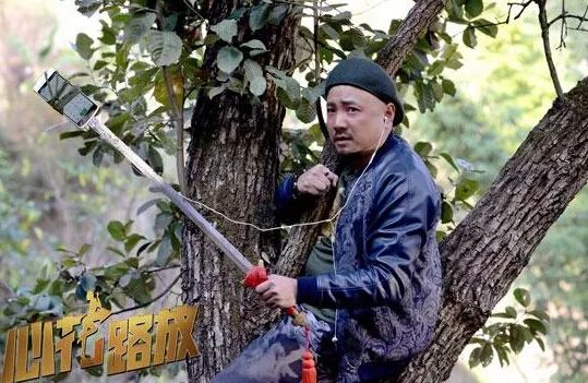 5g手机4g卡网速慢怎么解决,4g网速越来越慢是什么原因