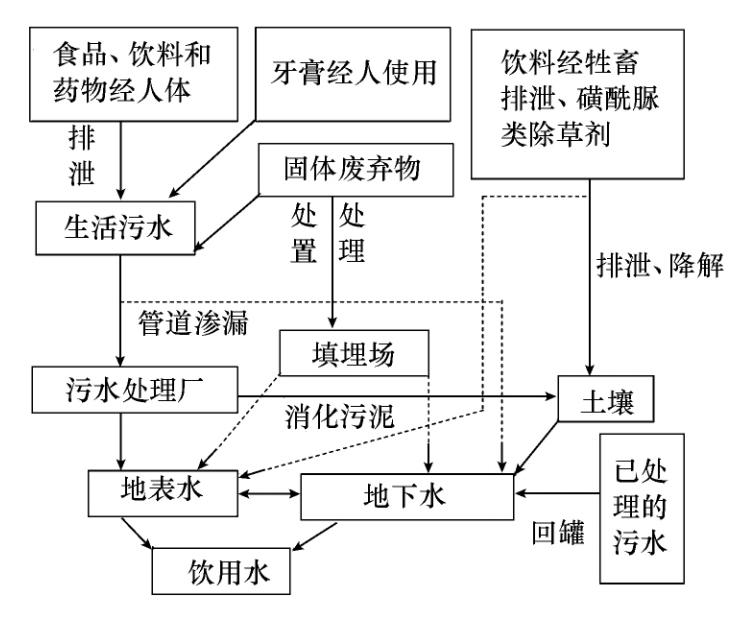 无法消化的人工甜味剂通过粪尿排出，污染水源后被我们重新喝下