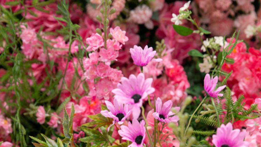 太会撩了！「中华广场」浪漫告白地，七夕的又一个新选择