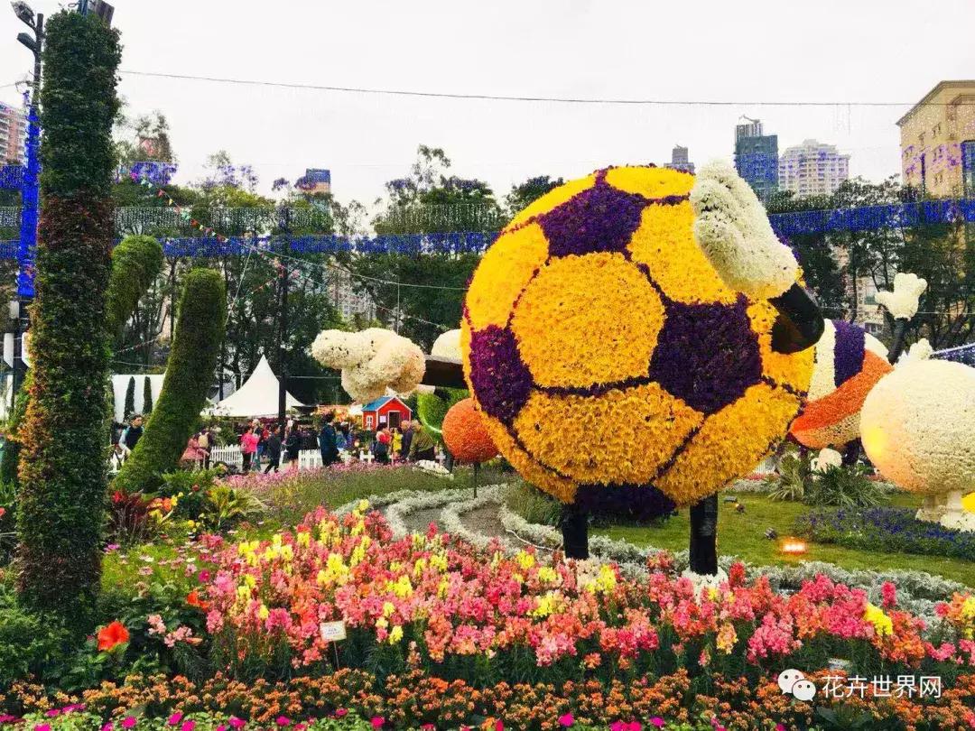 共赴盛会活动,香港国际花卉展