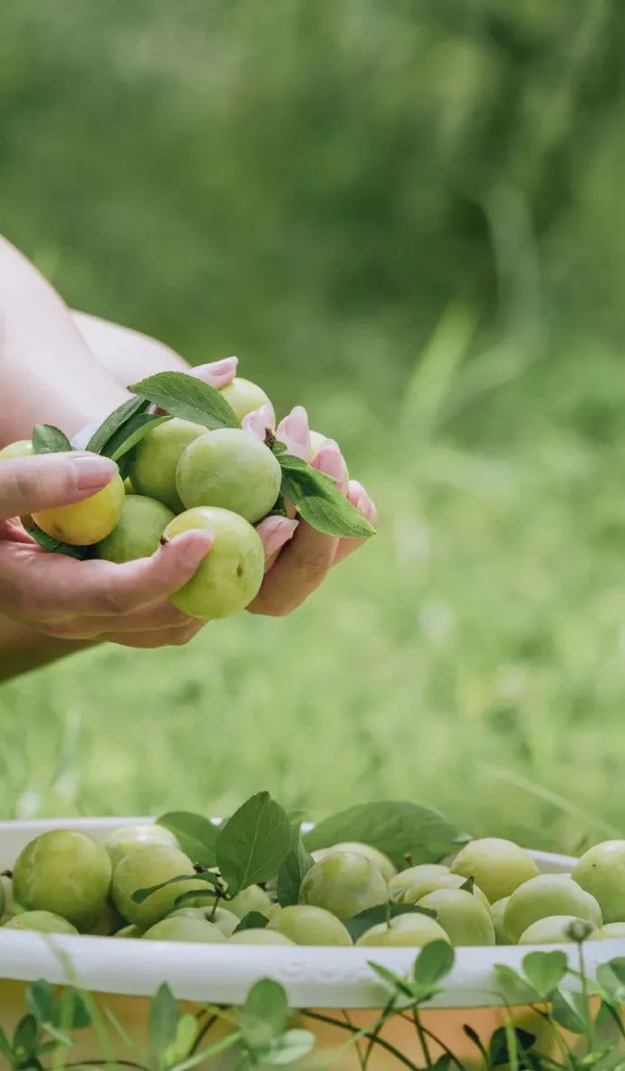 第1家国家4a级旅游区的大学博物馆,隐藏在各大校园里的有趣博物馆