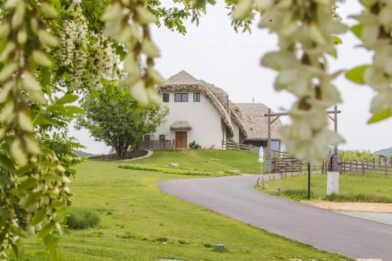 牧野寻芳探槐乡三寰牧场趣味亲子赏槐徒步大会启动