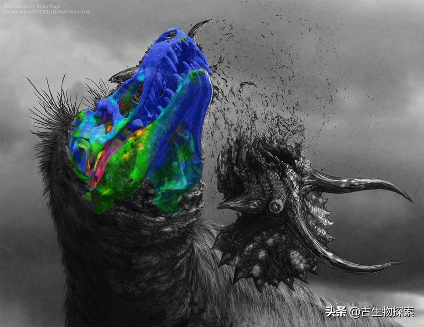 霸王龙最新研究报告,2024年霸王龙最新消息